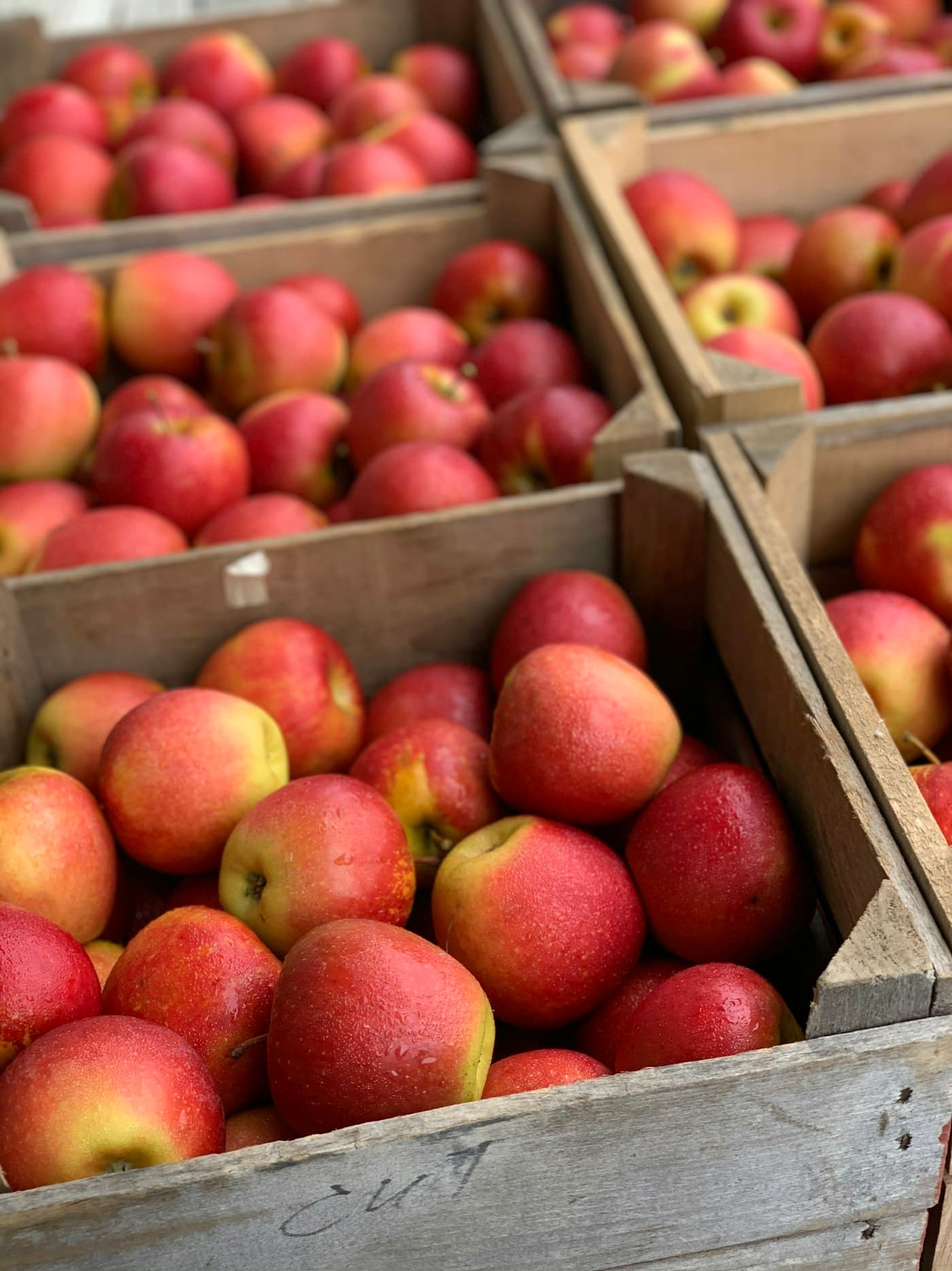 Fresh Apple from Swat, KP & Ziarat, Balochistan
