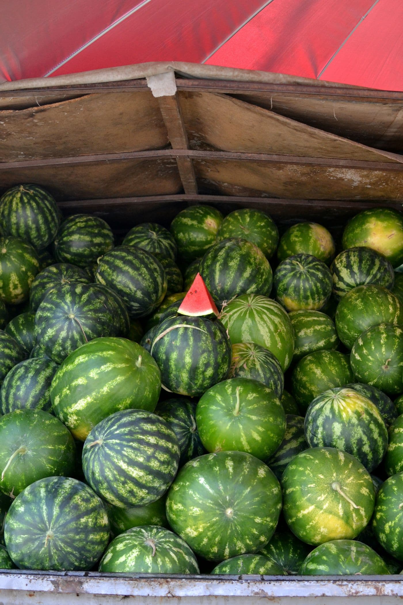 Fresh Melon & Watermelon from Bahawalpur & D.G. Khan riverine, Punjab